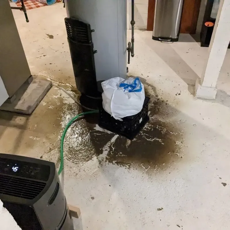 Sewage Backup Cleanup Service in Sewaren, NJ